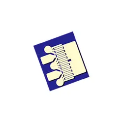 TGF2023-2-02